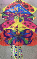 Aquilone 4 tipi di insetti 140 cm