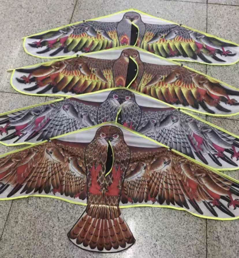 aquilone aquila 120cm