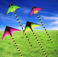 Aquilone 160cm