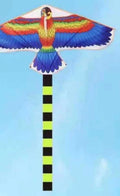 Aquilone Asuka 140 cm