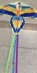 Aquilone Asuka 140 cm