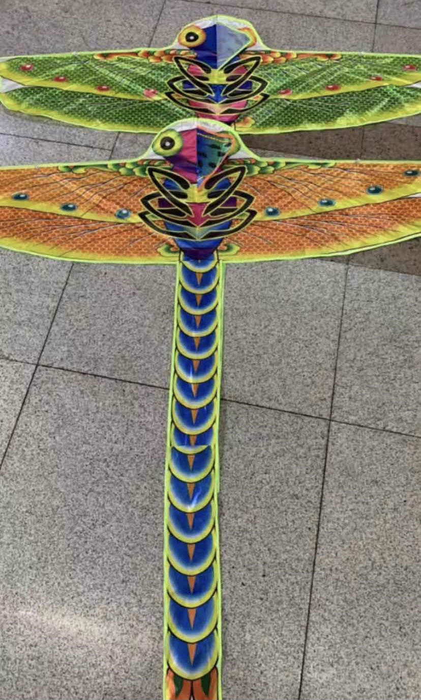 Aquilone Libellula 160 cm